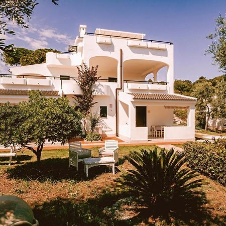 Villaggio Eco-Sostenibile Cala Molinella Βιέστε Εξωτερικό φωτογραφία