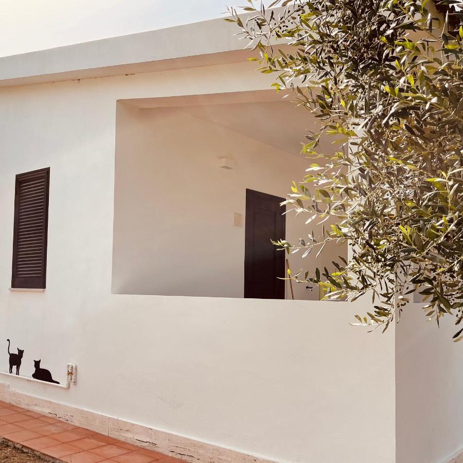 Villaggio Eco-Sostenibile Cala Molinella Βιέστε Εξωτερικό φωτογραφία
