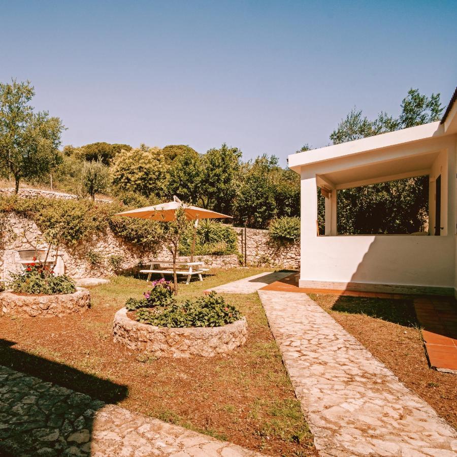 Villaggio Eco-Sostenibile Cala Molinella Βιέστε Εξωτερικό φωτογραφία